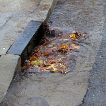Storm drain covered in debris