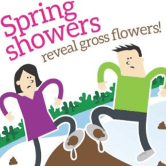 Spring Showers Reveal Gross Flowers