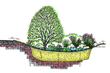 Bioretention diagram